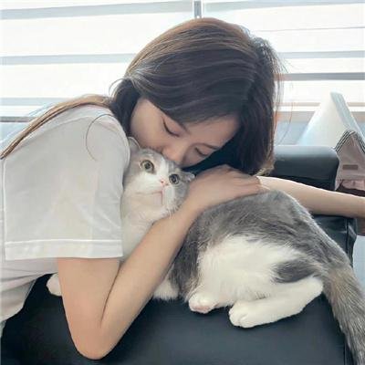 天才枪手剧版